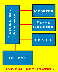 vda-app.gif (5038 bytes)